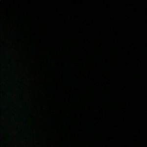 Meet your Posher, Dylan